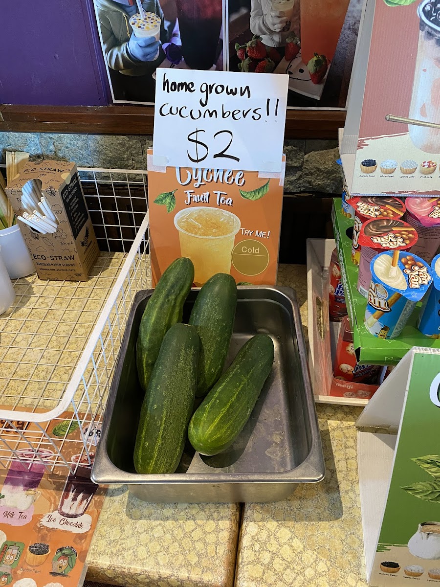 Serene Thai Restaurant-5